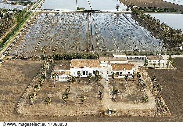 The Tramontano farm house  flooded rice fields and dry patches experimentally cultivated with dryland rice  aerial view  drone shot  Ebro Delta Nature Reserve  Tarragona province  Catalonia  Spain  Europe