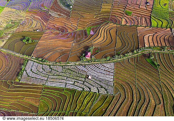 The view of the beautiful rice terraces pattern
