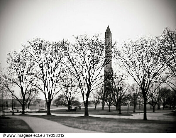 The view of the Washington Monument from the West.