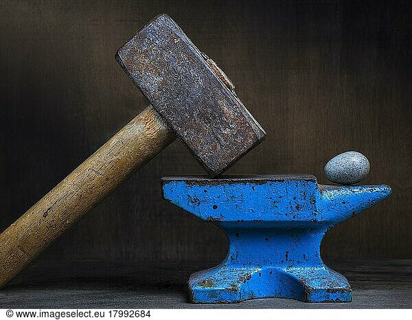 Theme Destroy  Fragile  Still life with hammer  anvil and egg  Studio shot  Symbol photo