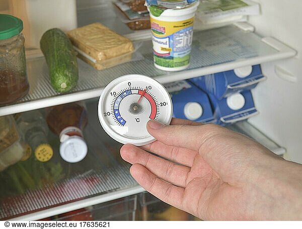 Thermometer  Kühlschrank  Temperatur