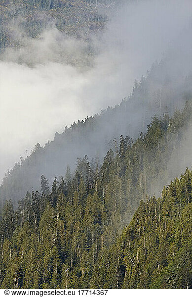 Thick Clouds Cover Mountains  Mussel Inlet  Great Bear Rainforest  British Columbia