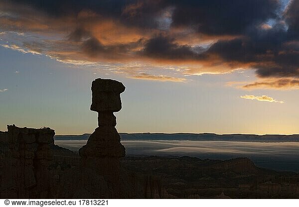 Thor's hammer at dawn  Sunrise Point  Bryce Canyon National Park  Utah  Southwest  USA  North America