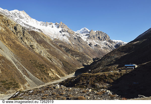 Thorung Khola Valley  Annapurna Conservation Area  Gandaki  Western Region (Pashchimanchal)  Nepal  Himalayas  Asia