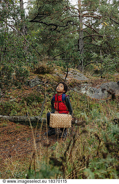 Thoughtful boy with basket looking up while sitting in forest