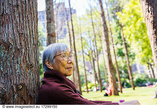 Thoughtful senior woman with gray hair sitting by tree at public park