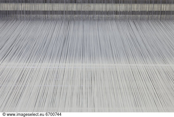 Threads in an Industrial Loom