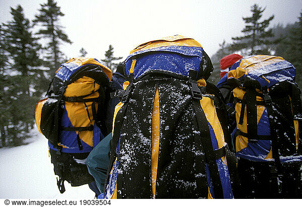 Three backpackers navigate a winter landscape.