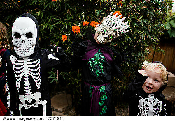 Three Boys in Costume Posing for Camera on Halloween in San Diego