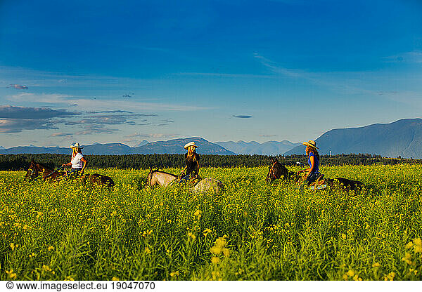 Three cowgirls riding horses through a canola field in Montana