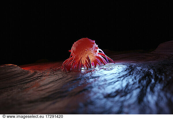 Three dimensional render of cancer cell