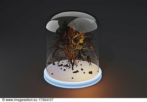 Three dimensional render of display jar with dying tree