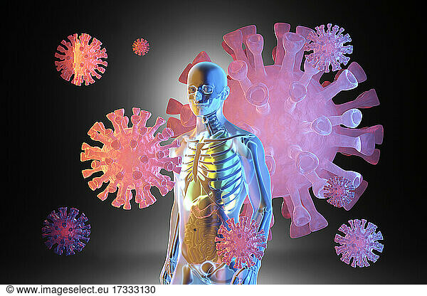 Three dimensional render of giant virus cells floating around human anatomical model with transparent skin