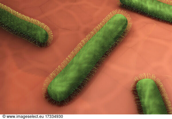 Three dimensional render of green bacteria on human tissue