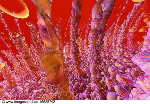Three dimensional render of human intestinal villi