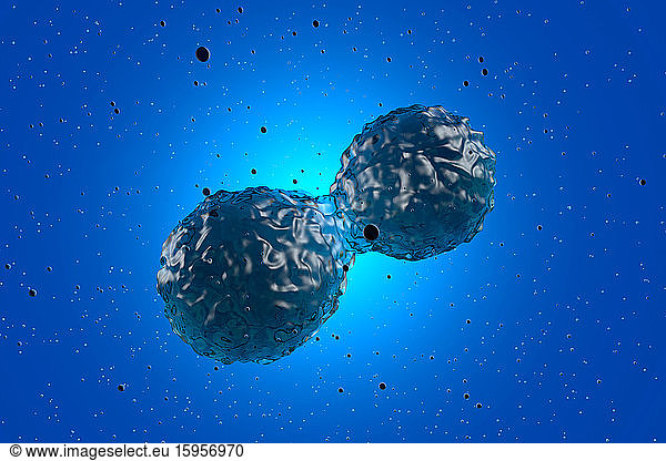 Three dimensional render of mitosis of blue stem cells