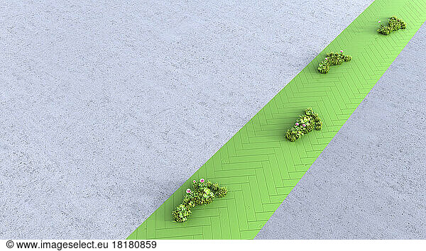 Three dimensional render of plant shaped footprints stretching along green footpath