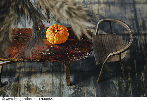 Three dimensional render of pumpkin lying on top of wooden table