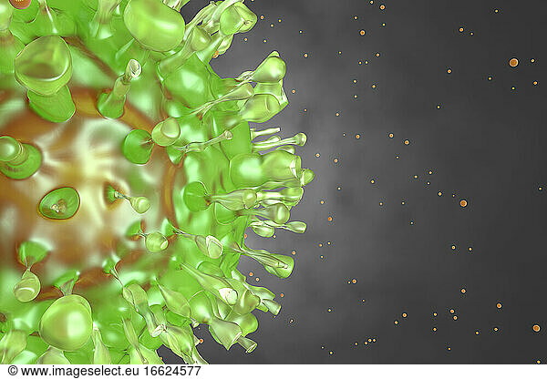 Three dimensional render of single COVID-19 cell