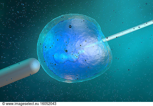 Three dimensional render of stem cell being injected with DNA