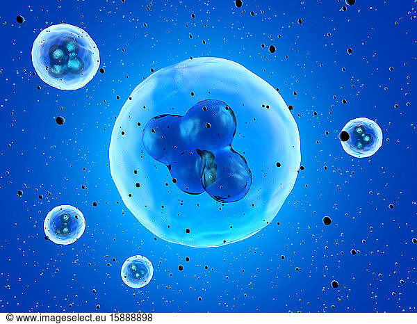 Three dimensional render of stem cells