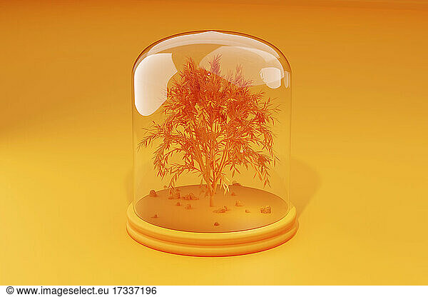 Three dimensional render of tree inside glass display cabinet