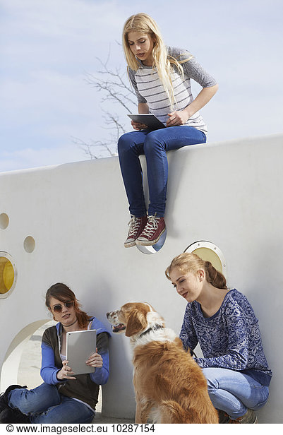 Three friends in a playground with dog  Munich  Bavaria  Germany