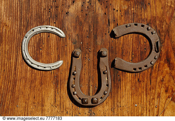 Three horseshoes attached to the door to the Elmauer Hut