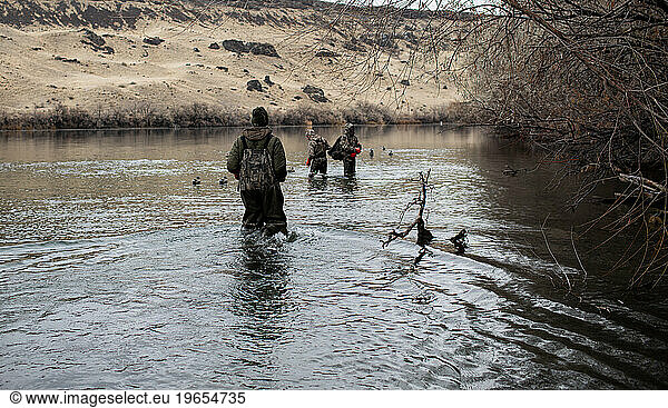 Three hunters search in river for a missing duck decoy together