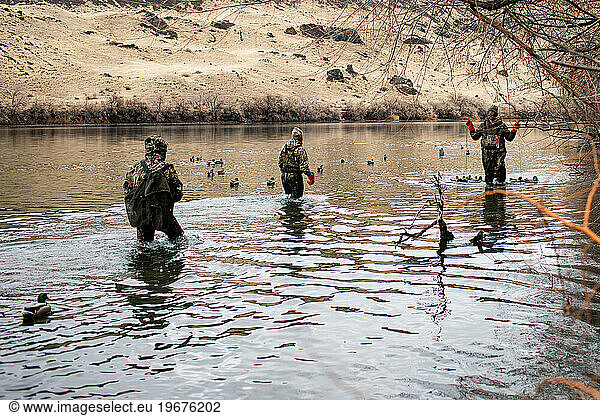 Three hunters work together to retrieve duck decoys from the riv