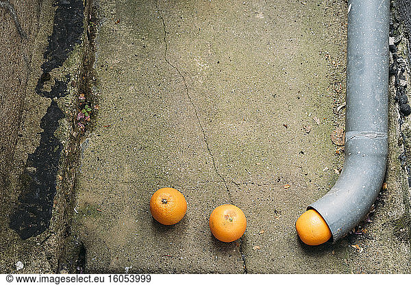 Three oranges disappearing in pipe
