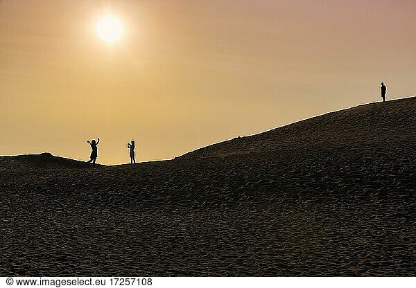 Three people on a dune  woman taking picture of woman  man watching  silhouettes at sunset  Nordjylland  North Jutland  Denmark  Europe