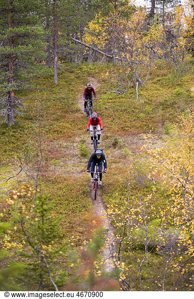 Three persons biking in the woods