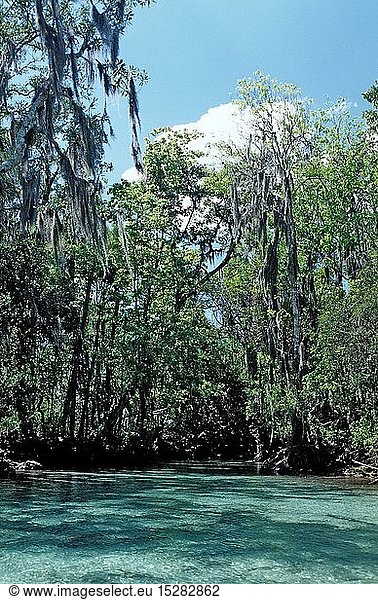 Three Sisters Manatee Schutzgebiet  USA  Florida  FL  Crystal River