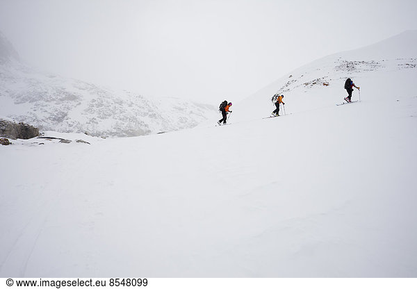 Three skiers ascending a ridge in mist and cloud conditions on the Wapta Traverse  a mountain hut to hut ski tour in Alberta  Canada.