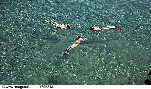 Three snorkellers swim on the surface and look at the seabed in a shallow bay with turquoise water  Mediterranean Sea  Liguria  Italy  Europe
