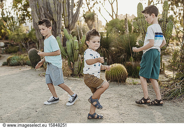 Three young brothers dancing in sunny cactus garden