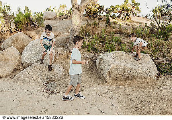 Three young brothers dancing in sunny California cactus garden