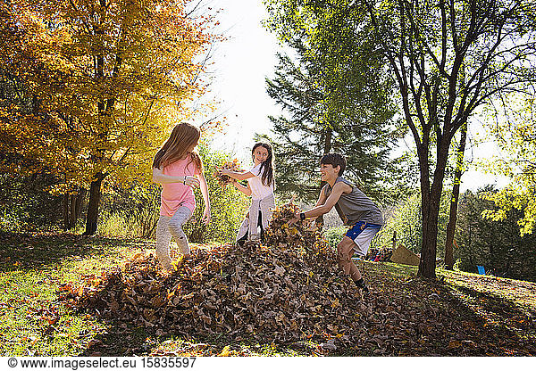 Three Young Children Playing in Fall Leaves