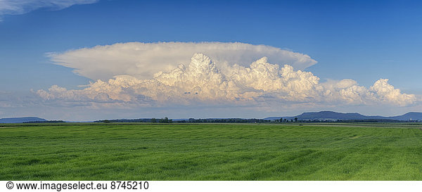 Thundercloud (cumulonimbus) over green field. Bavaria  Germany.