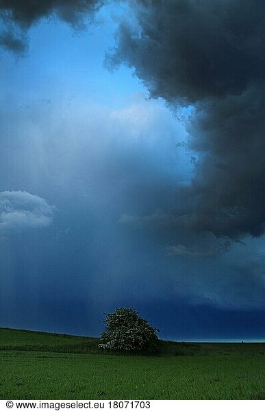 Thunderclouds  near Augsburg  Bavaria  Germany  Europe