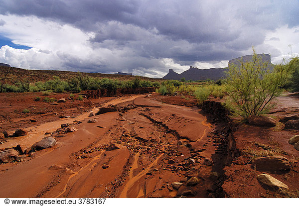 Thunderclouds over a riverbed  Utah  United States of America