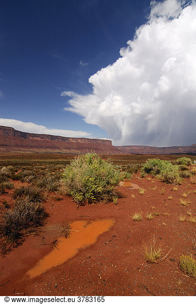 Thunderclouds  Utah  United States of America