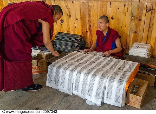 Tibetan scriptures printed from wooden blocks in the monastery traditional printing temple  Gansu province  Labrang  China.