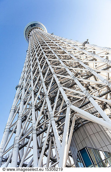 Tiefblick auf den Rahmen des Tokyo Sky Tree  Tokio  Japan.