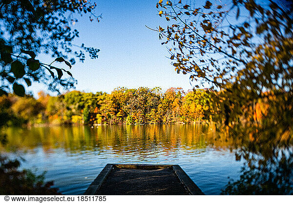 Tilt shift photo of view through trees over dock in fall.