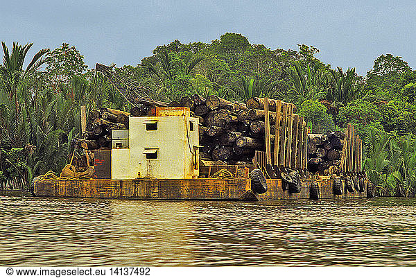 Timber barge. Sarawak