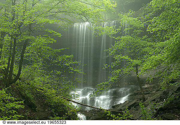 Tinkers Falls  New York  USA