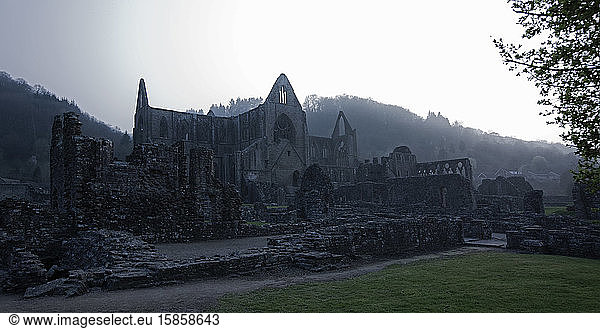 Tintern Abbey in south Wales