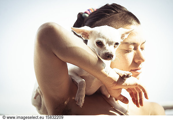 tiny cute dog perches on mums shoulder bathed in warm sunlight